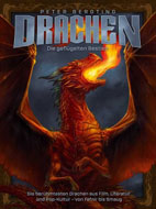 drachen.jpg