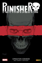 punisher01.2017.jpg