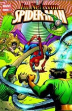 netzvonspider10