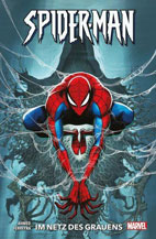 spiderman.netzdesgrauens.jpg