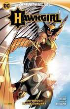 hawkgirl.aufbruch.jpg