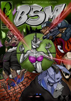 bsm02.jpg